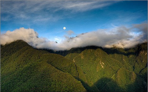 Rainforest Moon Calendar